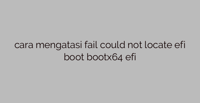 cara mengatasi fail could not locate efi boot bootx64 efi
